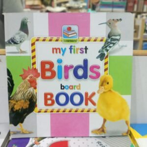 My first birds board book