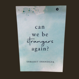 can-we-be-strangers-again